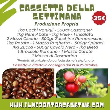 Cassetta Grande Della Settimana