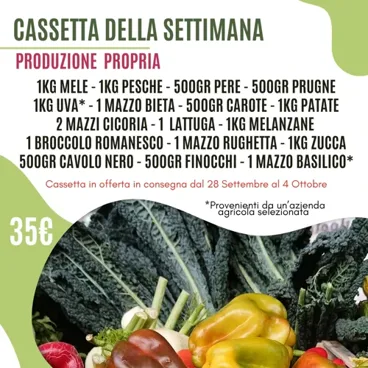 Cassetta Grande Della Settimana