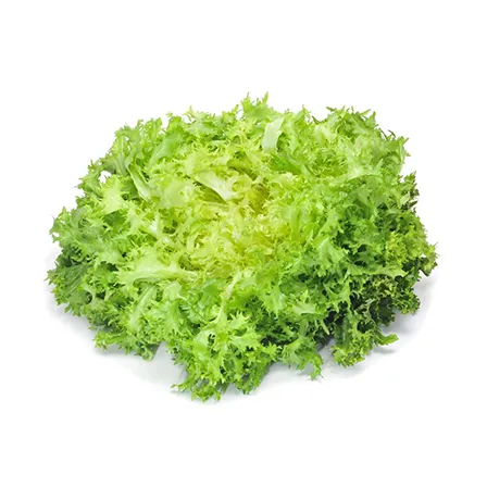 Insalata Indivia - Verdura a domicilio Roma