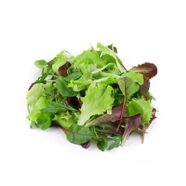 Insalatina
