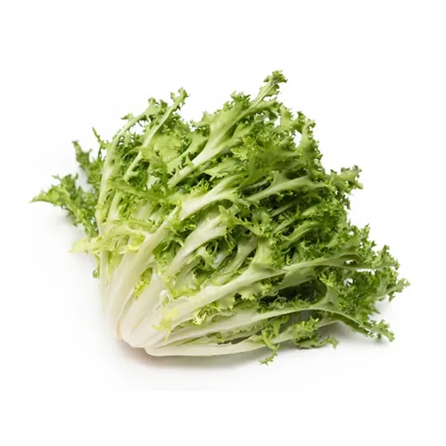 Insalata Indivia Riccia - Verdura a domicilio Roma
