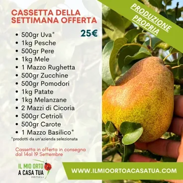 Cassetta Della Settimana