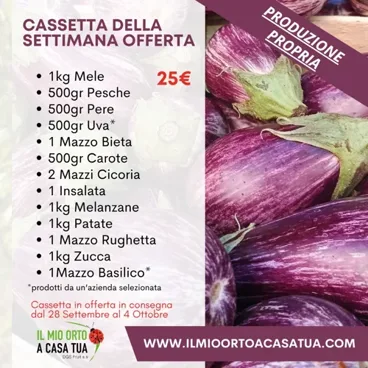 Cassetta Della Settimana