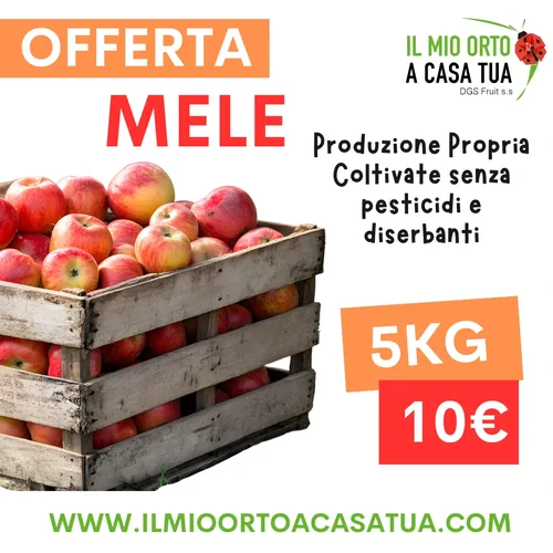 Box di mele in offerta