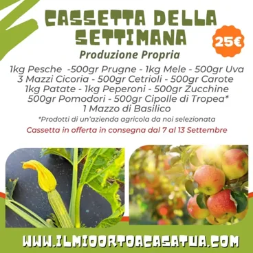 Cassetta Della Settimana