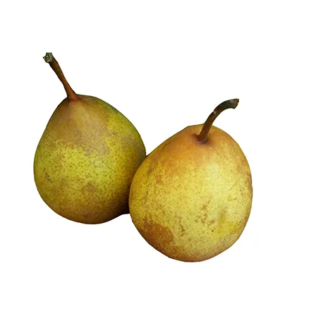 Pere Conference - Frutta a domicilio Roma