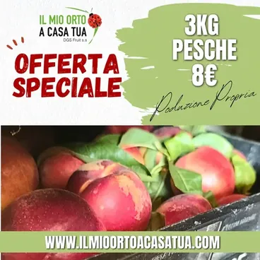 Offerta 3Kg di Pesche