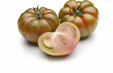 Pomodoro Costoluto