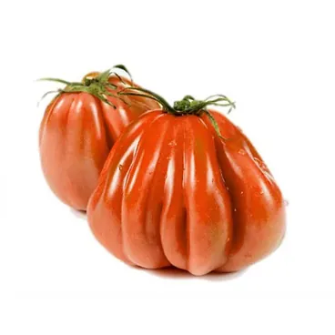 Pomodoro Cuore Di Bue