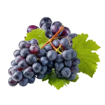 Uva Nera
