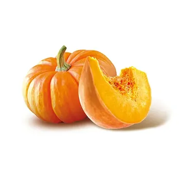 Zucca
