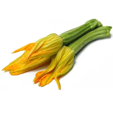 Zucchine
